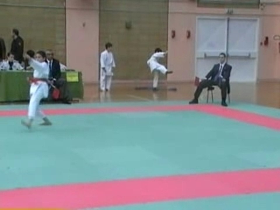 CHANPIONNAT KATA DAMMARIE LES LYS 030208