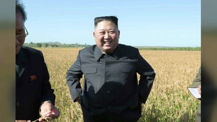 김정은, 軍농장 현지지도...4주 만에 공개활동 / YTN