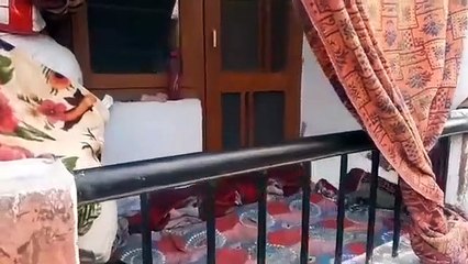 Kashmiri Pandit Migrant family on Road at Jagti Township