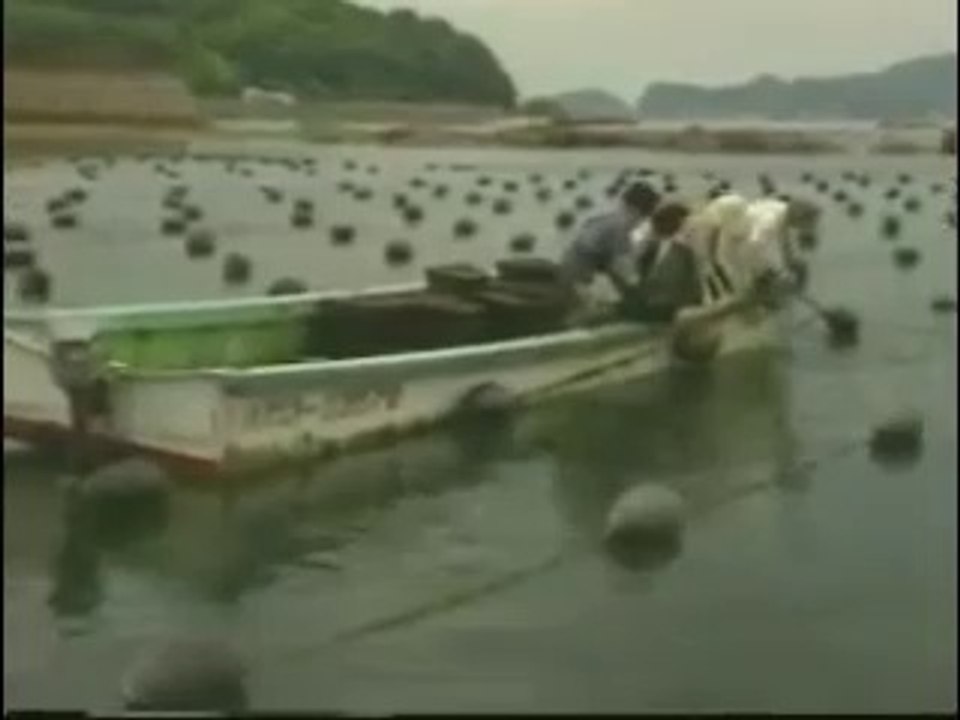 Japanese Akoya Cultured Pearls 1