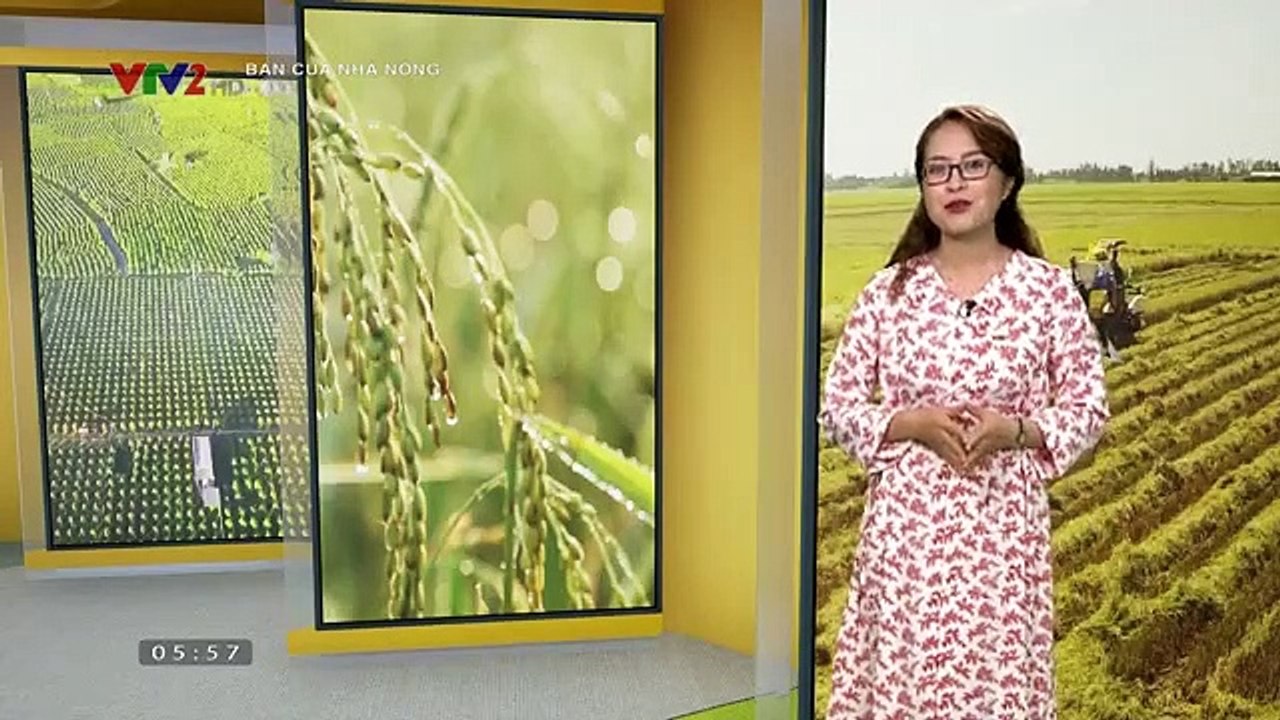 Bạn của Nhà nông ngày 09/10/2019