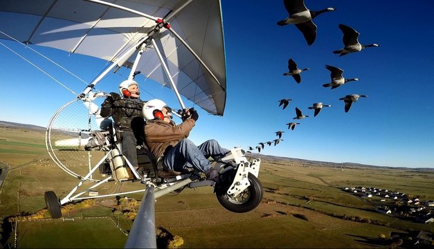 Muriel Bec, dresseuse d'oies pour le film de Nicolas Vanier Donne-moi des ailes