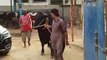 EID UL ADHA 2019 - BAKRA EID PAKISTAN Beautiful Bulls For Qurbani 2019 In Karachi