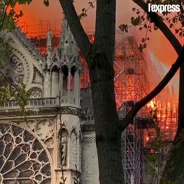 La charpente de Notre-Dame, un outil pédagogique pour les Compagnons du devoir