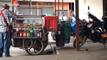 Thai street vendor befriends wild bird who sits on his shoulder and gets tidbits