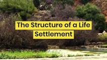 Life Settlements & Your Life Insurance Options