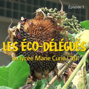 Épisode 1 : le développement durable au coeur du lycée Marie Curie à Versailles