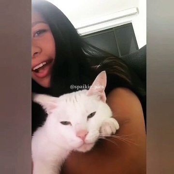 Ce chat sait faire des refrains surprenants. Il chante aussi bien que certaines de nos stars