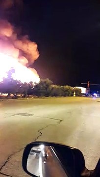 Andria, il giorno dopo l'incendio le fiamme erano più alte degli alberi di ulivo