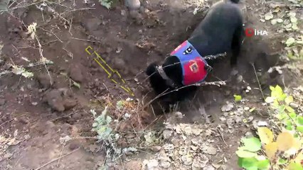 Terör örgütünün kış üslenmesi yerle bir edildi: 109 terörist etkisiz hale getirildi