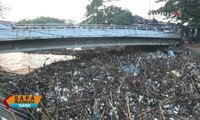 Hujan Guyur Jakarta, Sampah Menumpuk di Pintu Air Manggarai