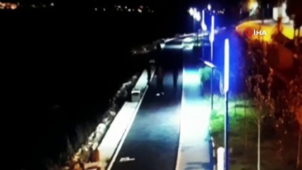 Çöp kovalarını kırıp Van Gölü’ne atan şahıslar kamerada