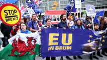 Brüksel'de Brexit karşıtı gösteri