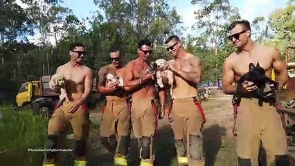 Calendrier des pompiers australiens - backstage photoshoot avec les chiens