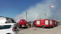 Antalya'da soğuk hava deposu yangını