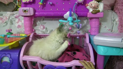 Brincando  de Doutora Brinquedos - Cuidando dos Bebês