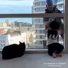 Quand un chat s'amuse avec le laveur de vitres.