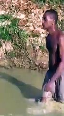 Un homme se fait attaquer par une anguille électrique dans une rivière et passe un sale moment