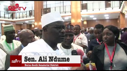 2020 Budget: I'm not against borrowing, says Ali Ndume
