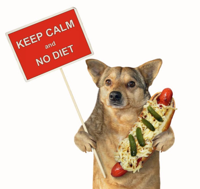 Die 5%-Diät sagt 'Lebewohl' zum Hunger