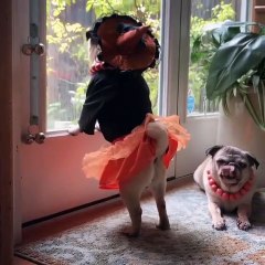 Au coeur de l'action : ils sont bons acteurs non !!!