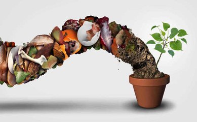 Warum und wie stellt man Kompost herstellt