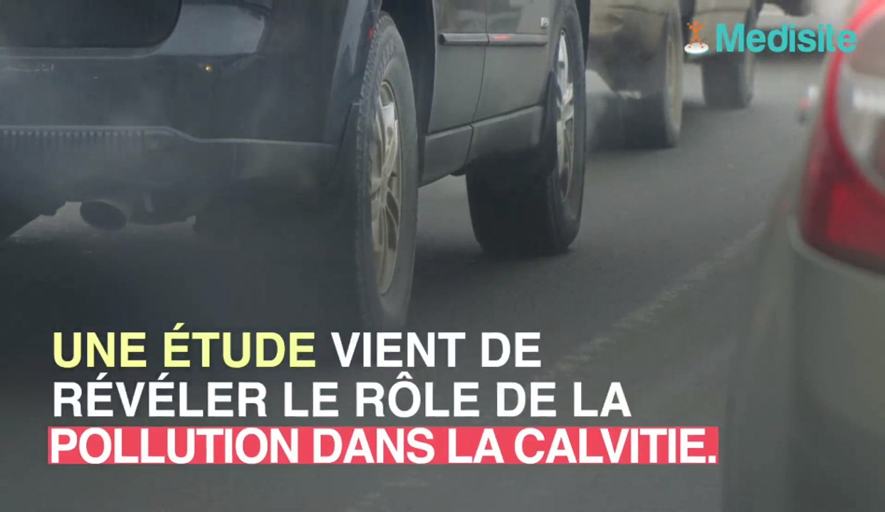 Chute de cheveux : la pollution en cause ?