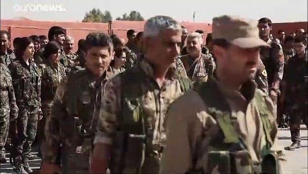 Турция начала военную операцию в Сирии