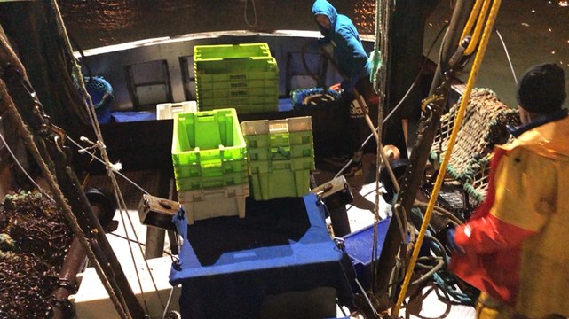 A la pêche à la Saint-Jacques à bord du Chant des Sirènes