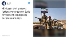 Offensive turque en Syrie. La France condamne et saisit le Conseil de sécurité de l'ONU