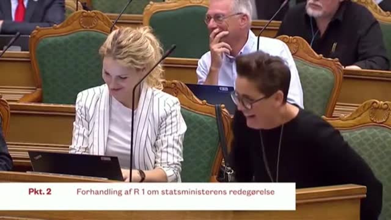 Risas en el parlamento danés por cuatro elefantes y un camello