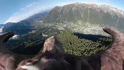 Le massif du Mont-Blanc filmé depuis un aigle pour alerter sur les effets du réchauffement climatique