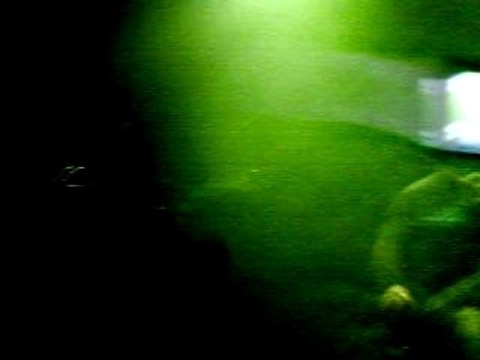 Concert KillerPilze 04.02.08 Stress Im Nightliner