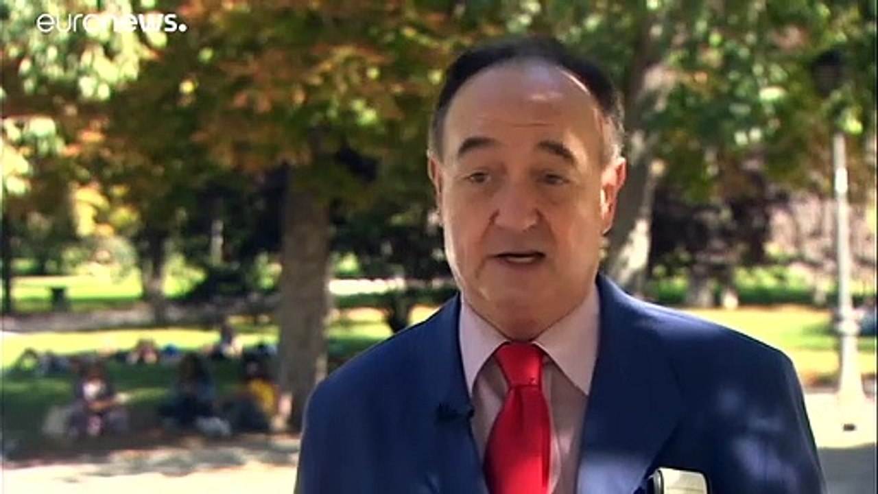 Mönchsittiche werden zum Problem für Madrid