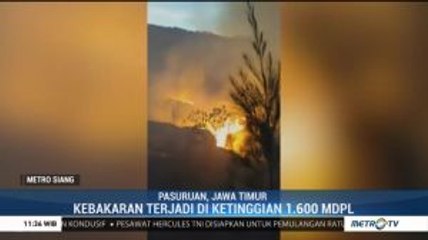 Hutan Gunung Arjuno Welirang Kembali Terbakar