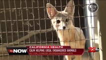 California Health: CALM helping Kern County endangered species at their zoo