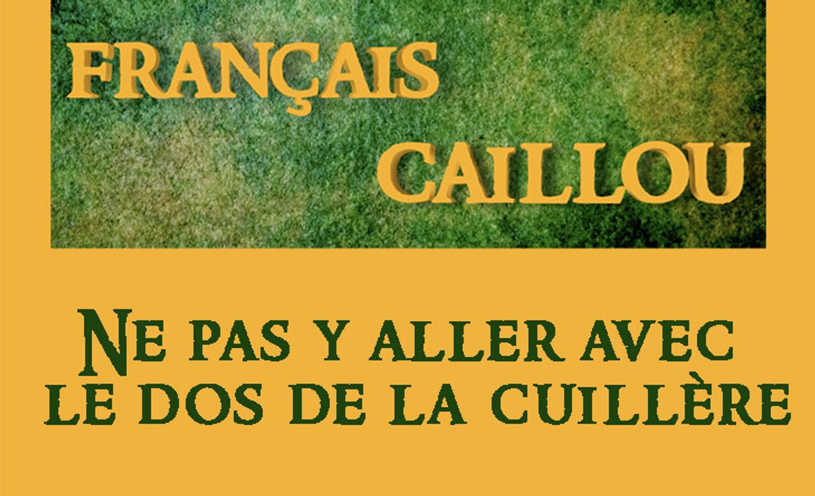 Français caillou / Définition du jour Ne pas y aller avec le dos de la cuillère Vidéo