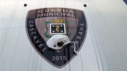 Homem de 25 anos é detido após descumprir medida protetiva