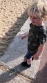 Belly Flop on the Beach