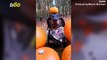 Balancing Act! Dog’s Ability to Balance Items on His Head Turns Him into Social Media Attraction!