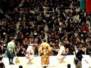 Combat sumo tokyo 2008