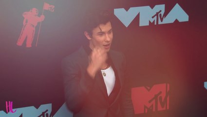 Camila Cabello Shades Shawn Mendes Collaboration In New Video