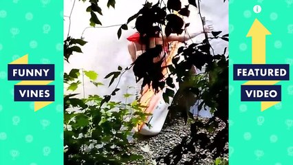 TRY NOT TO LAUGH - Ultimate FAILS VINES | Funny Videos November 2018