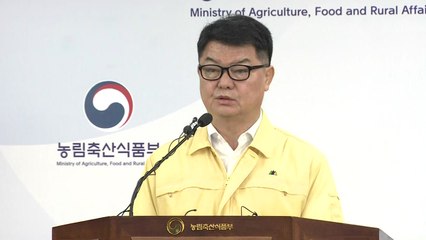 아프리카돼지열병 정례 브리핑 / YTN