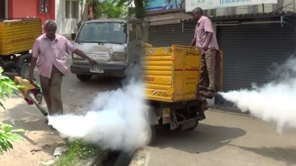 ராணிப்பேட்டையில் டெங்கு கொசுக்களை தடுக்க நகராட்சி சார்பில் கொசுமருந்துக்களை தெளிக்கும் பணி தீவிரம்