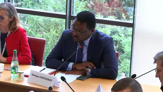 Commission des affaires étrangères : Mme Amélie de Montchalin, secrétaire d'État auprès du ministre de l'Europe et des Affaires étrangères - Mercredi 9 octobre 2019