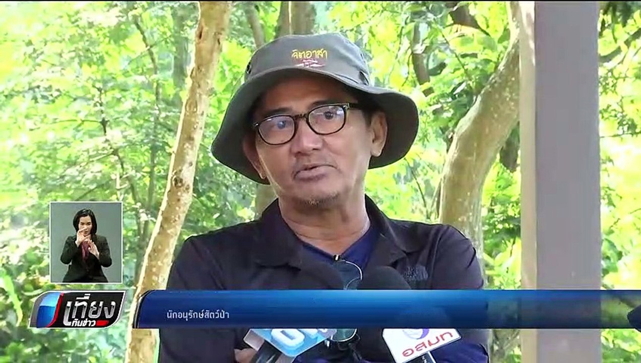 อุทยานฯ นำทีมขอขมา “ช้างป่า” ก่อนชำแหละเก็บกู้ซ...