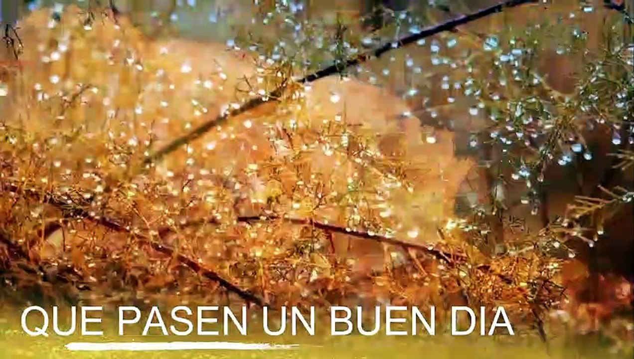 Conoce El Tiempo de Hoy Jueves 10 de Octubre de 2019
