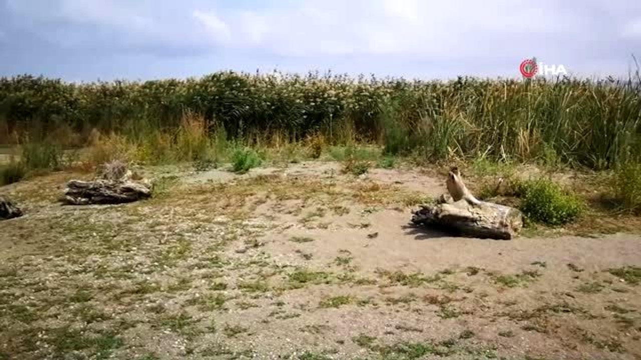 İznik gölü çekildi balık ağları ortaya çıktı