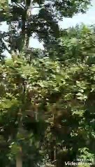 HAPPY TRAVELLING EXPERIENCE WITH NATURE